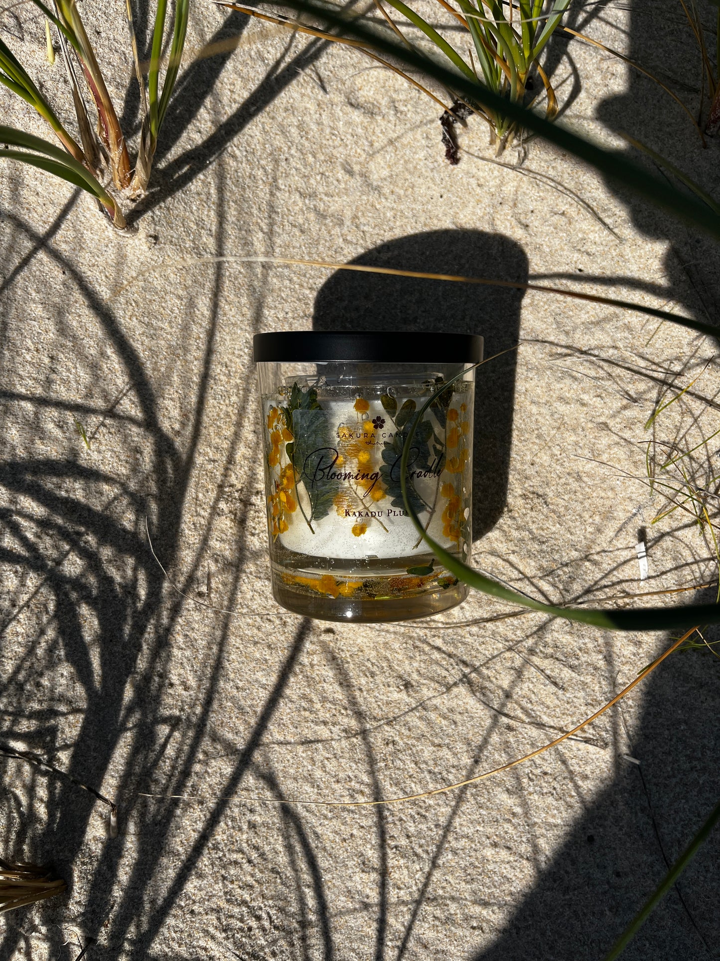Mimosa Cradle