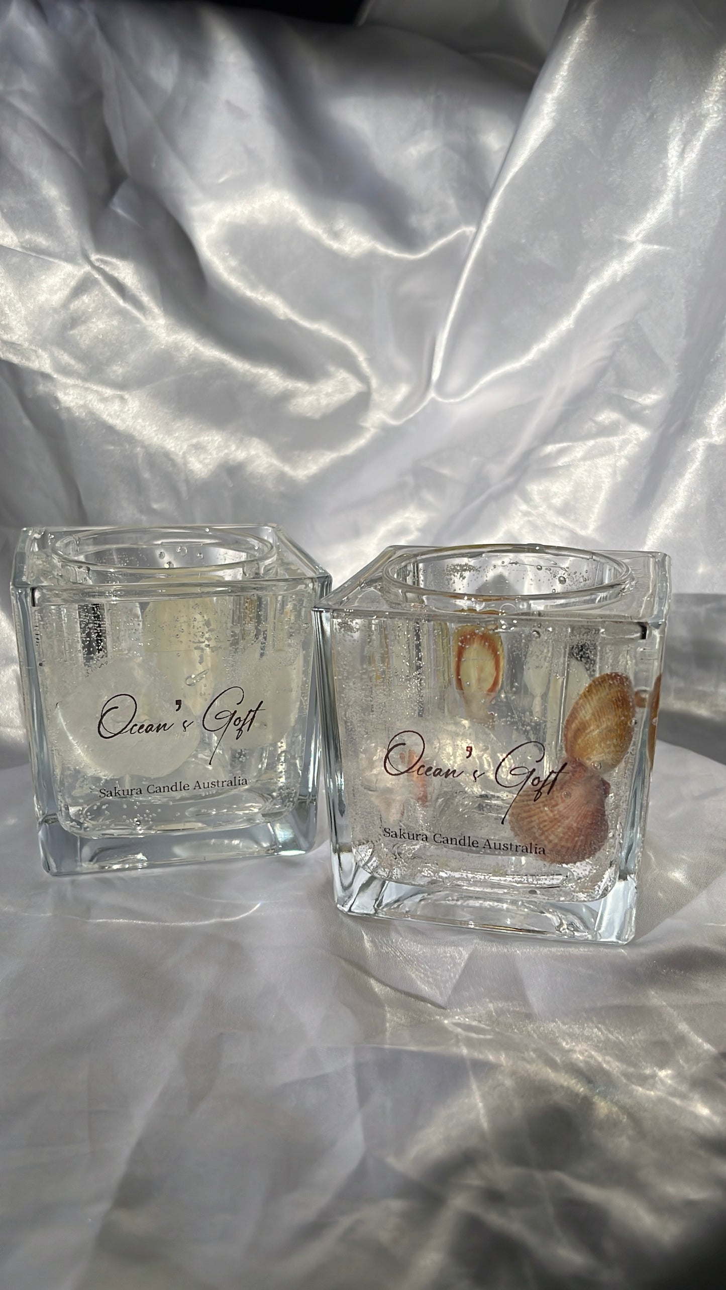 Ocean Gift ( Shell Candle Holder )