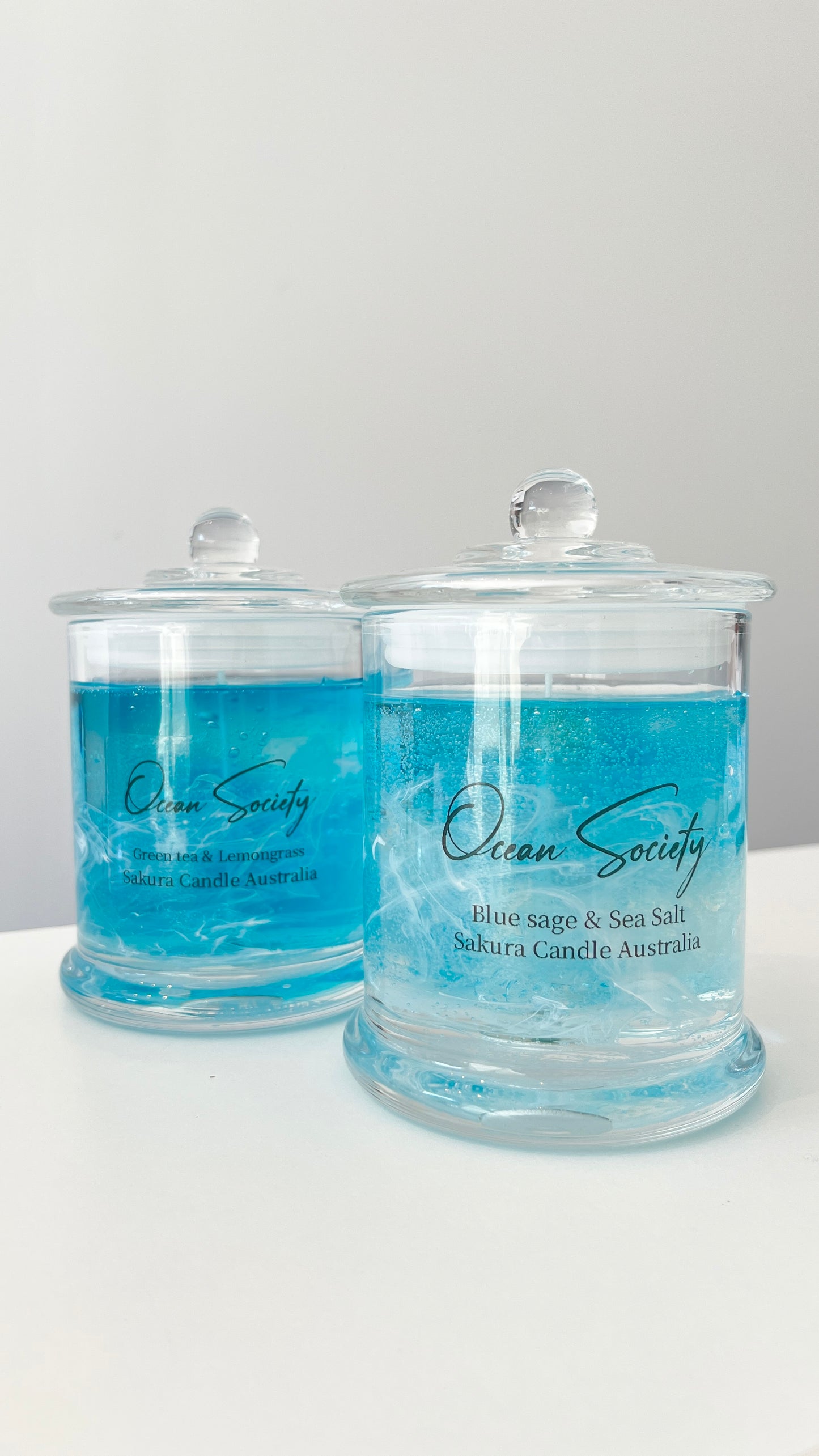 Ocean Society