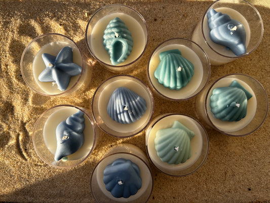 Shell Spa Candles